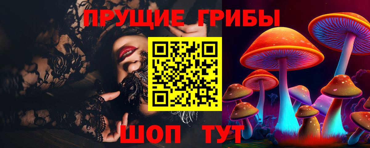 Псилоцибиновые грибы Psilocybe  Вход с VPN  Псилоцибиновые грибы Cubensis  Полысаево 